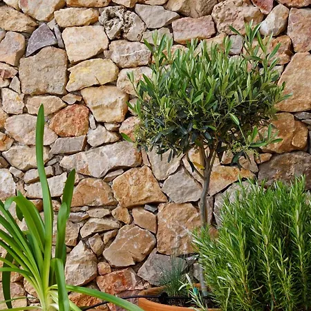 Villa Casa Des Pins - D'exception A Sete