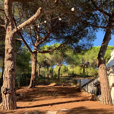 Villa Casa Des Pins - D'exception A